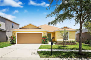 11142 Goldenrod Fern Dr, Riverview, FL 33569, Sold 06/14/17