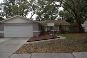 5339 Black Pine Dr, Tampa, FL 33624, Sold 06/09/17