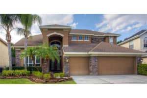11342 Minaret Dr, Tampa, FL 33626, Sold 06/30/17