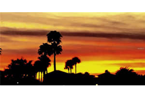 1004 Stella Vara Dr, Lutz, FL 33548, Sold 07/10/17