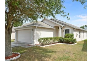 30439 Birdhouse Dr, Wesley Chapel, FL 33545, Sold 07/10/17