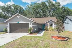 1718 Brandon Trace Ave, Brandon, FL 33510, Sold 08/02/17