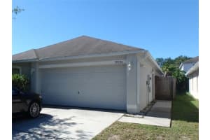 30326 Pongo Way, Wesley Chapel, FL 33545, Sold 08/02/17