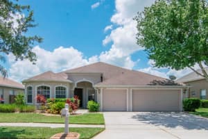 22704 Eagles Watch Dr, Land O' Lakes, FL 34639, Sold 07/26/17