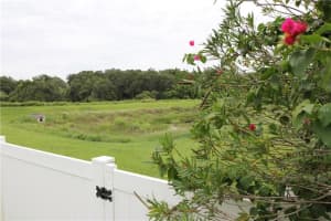 11321 Ivy Flower Loop, Riverview, FL 33578, Sold 11/03/17