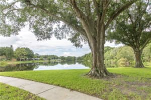 5807 Lady Bug Ct, Tampa, FL 33625, Sold 10/03/17