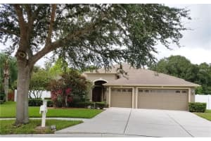 3209 Hanging Vine Ct, Land O' Lakes, FL 34639, Sold 09/27/17