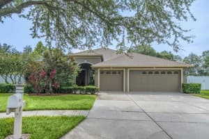3209 Hanging Vine Ct, Land O' Lakes, FL 34639, Sold 09/27/17