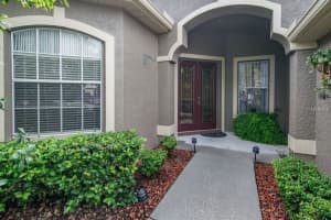 3209 Hanging Vine Ct, Land O' Lakes, FL 34639, Sold 09/27/17