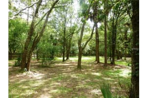 1402 Pinetree Cir, Wimauma, FL 33598, Sold 10/20/17