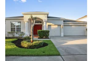 31033 Edendale Dr, Wesley Chapel, FL 33543, Sold 03/28/18