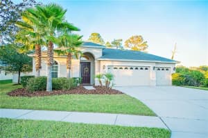 27501 Sora Blvd, Wesley Chapel, FL 33544, Sold 12/20/17