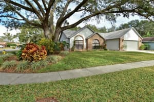 10314 Ashley Oaks Dr, Riverview, FL 33578, Sold 02/06/18