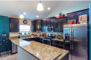 12406 Ballentrae Forest Dr, Riverview, FL 33579, Sold 05/03/18
