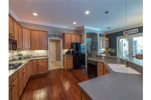 6122 Kingbird Manor Dr, Lithia, FL 33547, Sold 06/15/18
