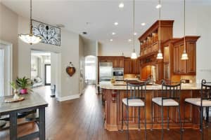 6046 Audubon Manor Blvd, Lithia, FL 33547, Sold 06/04/18