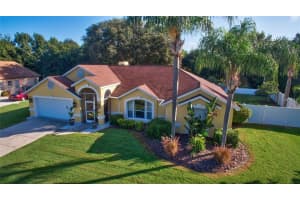 3920 Meadowlark Ct, Land O' Lakes, FL 34639, Sold 04/30/18