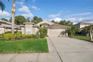 14627 Corkwood Dr, Tampa, FL 33626, Sold 04/30/18