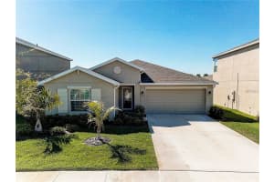 10023 Crested Fringe Dr, Riverview, FL 33578, Sold 04/16/18