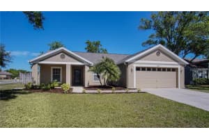 5809 Black Walnut Ct, Tampa, FL 33625, Sold 04/11/18