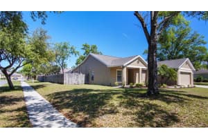 5809 Black Walnut Ct, Tampa, FL 33625, Sold 04/11/18