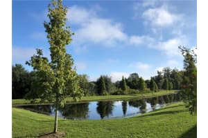 10411 Lake Montauk Dr, Riverview, FL 33578, Sold 04/01/22