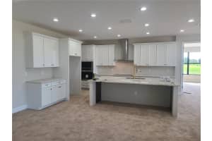 5207 LAKE ORTA WAY, WIMAUMA, FL 33598 Sold 08/02/22