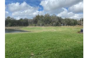 12130 MIracle Mile Dr, Riverview, FL 33578, Sold 03/29/21