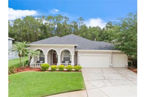 14723 Coral Berry Dr, Tampa, FL 33626, Sold 07/30/21