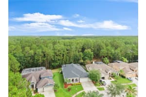 14723 Coral Berry Dr, Tampa, FL 33626, Sold 07/30/21