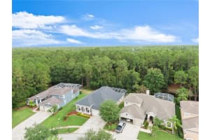 14723 Coral Berry Dr, Tampa, FL 33626, Sold 07/30/21