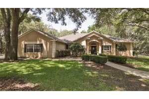6033 Hammock Hill Ave, Lithia, FL 33547, Sold 10/01/21
