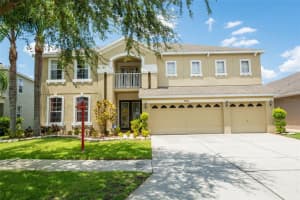 11422 Dutch Iris Dr, Riverview, FL 33578, Sold 09/10/21