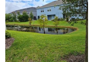 6611 Rocky Park St, Tampa, FL 33625, Sold 11/02/21