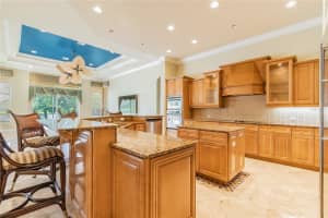 6217 Kingbird Manor Dr, Lithia, FL 33547, Sold 12/20/21