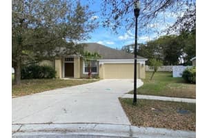 1605 Deep Well Ct, Valrico, FL 33594, Sold 01/05/22