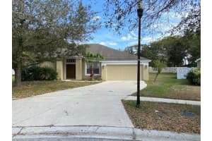 1605 Deep Well Ct, Valrico, FL 33594, Sold 01/05/22