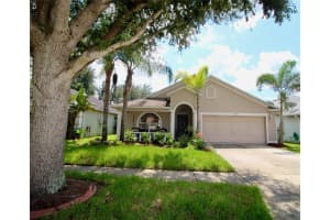 15944 Pond Rush Ct, Land O' Lakes, FL 34638, Sold 11/15/21