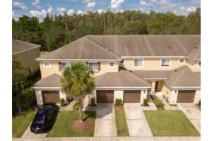 20428 Needletree Dr, Tampa, FL 33647, Sold 10/22/21