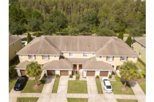 20428 Needletree Dr, Tampa, FL 33647, Sold 10/22/21