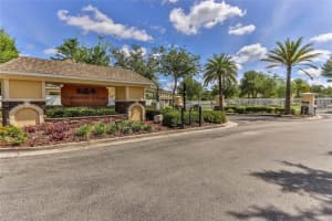 20428 Needletree Dr, Tampa, FL 33647, Sold 10/22/21