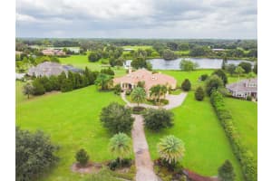 17241 Breeders Cup Dr, Odessa, FL 33556, Sold 12/21/21