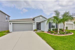 10110 Crested Fringe Dr, Riverview, FL 33578, Sold 10/14/21