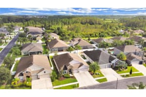 31523 Holcomb Pass, Wesley Chapel, FL 33543, Sold 11/30/21