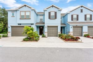 6822 Citrus Creek Ln, Tampa, FL 33625, Sold 10/29/21