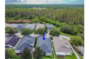 18220 Fall Creek Dr, Lutz, FL 33558, Sold 10/12/21