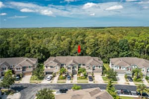 12428 Streamdale Dr, Tampa, FL 33626, Sold 10/21/21