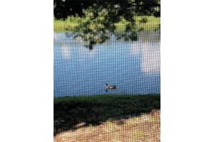 4931 White Sanderling Ct, Tampa, FL 33619, Sold 10/14/21