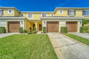 20408 Needletree Dr, Tampa, FL 33647, Sold 11/18/21