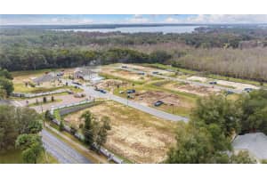 1204 DORA PARC LN, MOUNT DORA, FL 32757 Sold 11/08/24